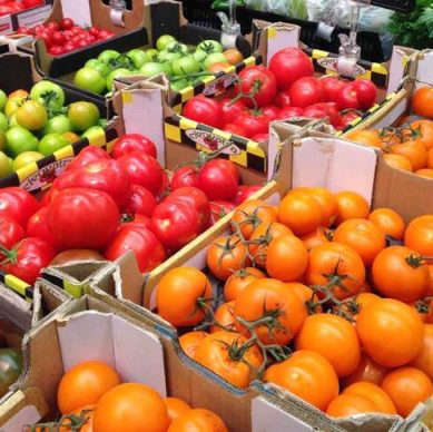 tomatoes_3x2 (1)